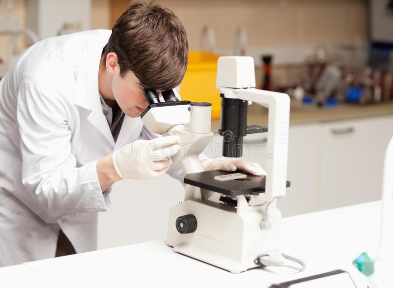 新的光学显微镜技术树立活细胞超分辨率成像新标准